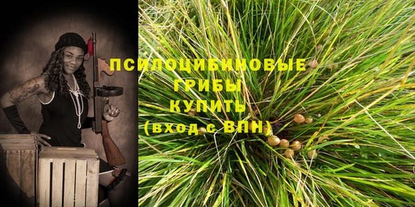 бутират Алзамай