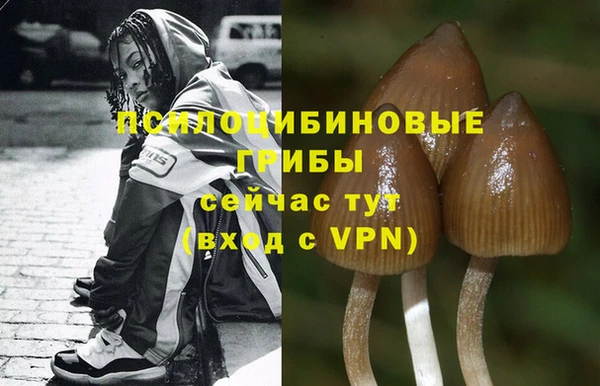 гидра Абинск
