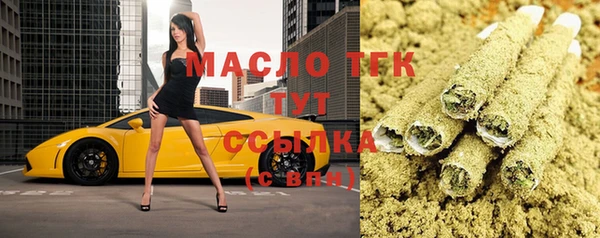 индика Михайловск