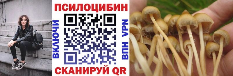 кракен tor  Тейково  Галлюциногенные грибы Cubensis 