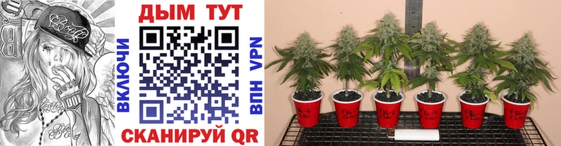 Бошки Шишки THC 21% где купить наркоту мега маркетплейс Тейково
